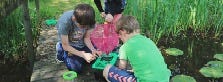 Utforsk naturen