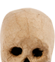Papir mache hodeskalle