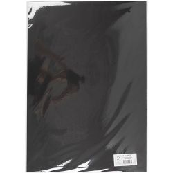 Kartong, A2, ark 420x594 mm, 180 g, svart, 10 ark/ 1 pk.