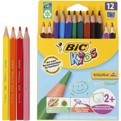 BIC Evolution Triangle Fargeblyanter