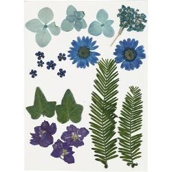 Tørkede blomster og blad, blå, 1 pk.