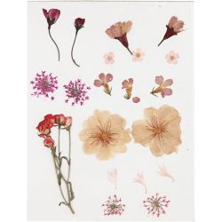 Tørkede blomster og blad, lys rosa, 1 pk.