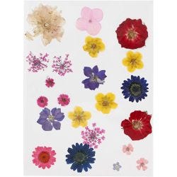 Tørkede blomster og blad