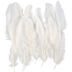 Fjær