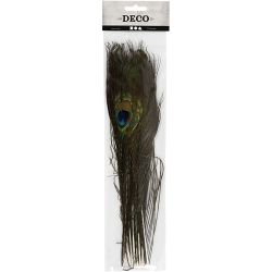 Pauwenveren, L: 25-30 cm, 10 stuk/ 1 doos