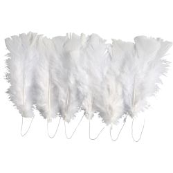 Dun , 11-17 cm, hvit, 18bunt/ 1 pk.