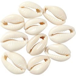 Skjell, L: 20 mm, natur, 12 stk./ 1 pk.