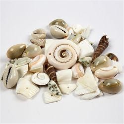 Strandskjell, str. 9-40 mm, hullstr. 1-1,5 mm, 120 g/ 1 pk.