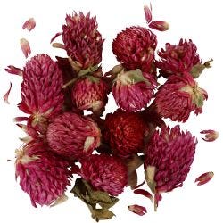 Tørkede Blomster