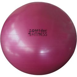 Fitnessball