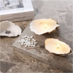 Mini DIY Kit Lysstøping, Soyalys støpt i østersskall, off white, 1 pk.