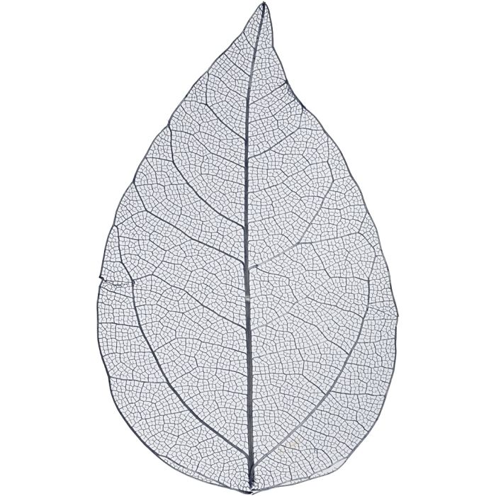 Skjelettblad, L: 6-8 cm, blå, 20 stk./ 1 pk.
