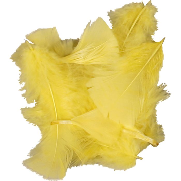 Dun, str. 7-8 cm, ca. 3750 stk., gul, 10x50 g/ 1 pk.