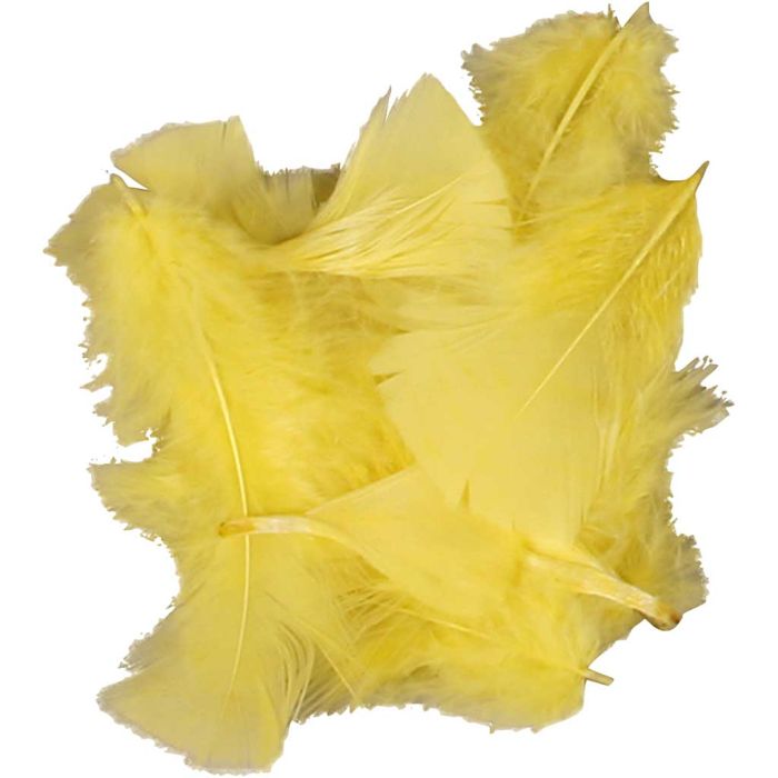 Dun, str. 7-8 cm, ca. 375 stk., gul, 50 g/ 1 pk.