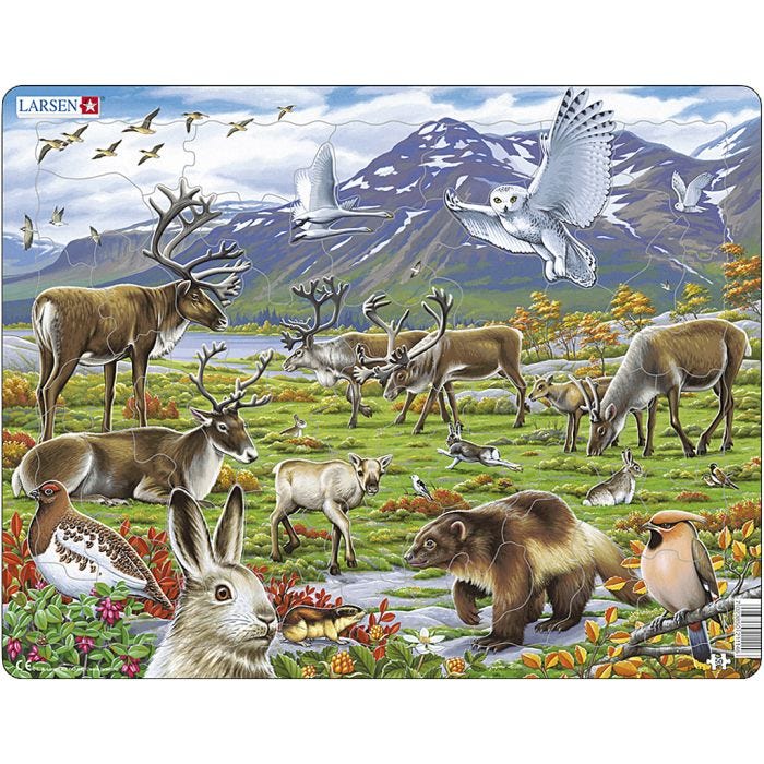 Puslespill, str. 28,5x36,5 cm, 50 brikker, 1 stk.