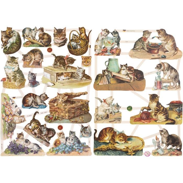 Glansbilder, katter, ark 16,5x23,5 cm, 2 ark/ 1 pk.