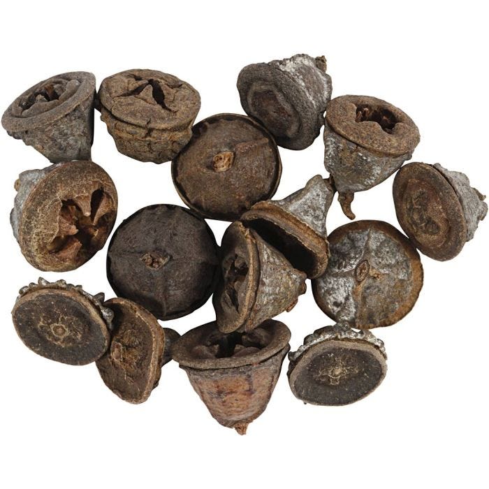 Eucalyptuskjegler, 25 g/ 1 pk.