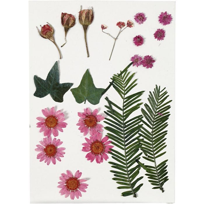 Tørkede blomster og blad, lys rød, 1 pk.