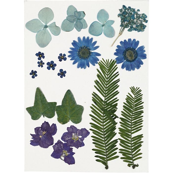 Tørkede blomster og blad, blå, 1 pk.