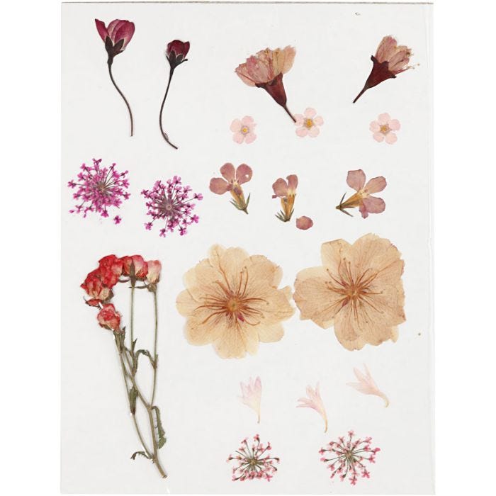 Tørkede blomster og blad, lys rosa, 1 pk.