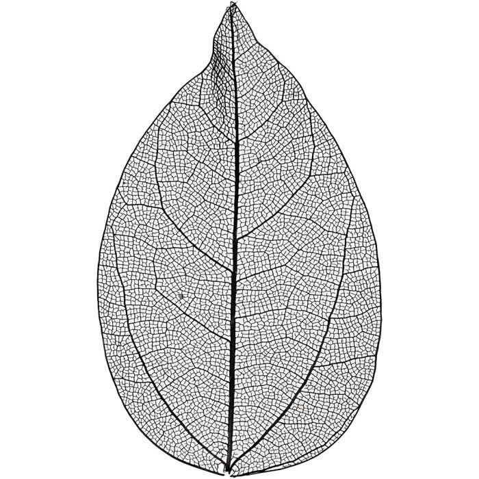 Skjelettblad, L: 6-8 cm, svart, 20 stk./ 1 pk.