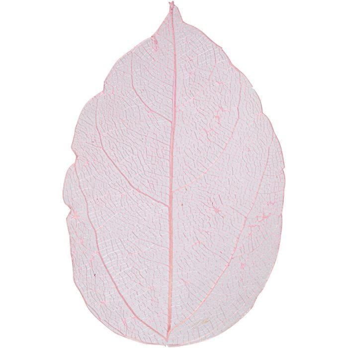 Skjelettblad, L: 6-8 cm, lys rød, 20 stk./ 1 pk.