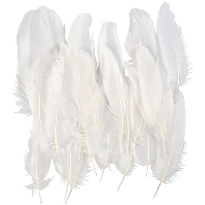 Fjær, hvit, 350 stk./ 1 pk.