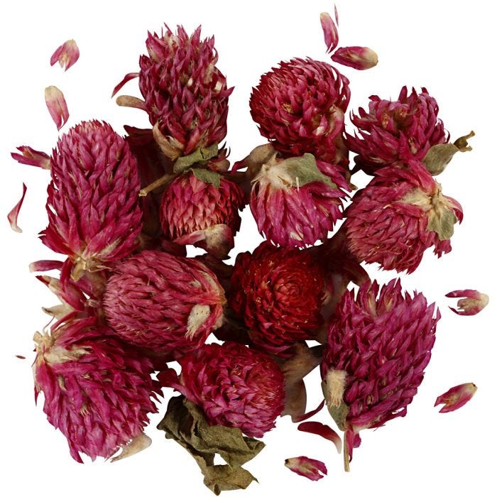 Tørkede Blomster, Rødkløver, L: 1,5-2,5 cm, dia. 1 - 1,5 cm, 15 g, lilla, 1 pk.