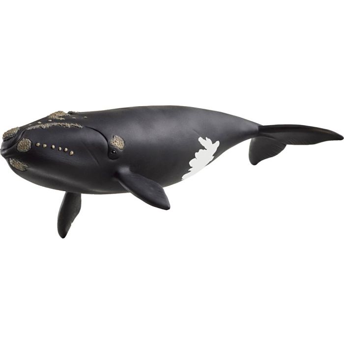 Schleich havdyr, Nordatlantisk retthval, str. 4,7x20+1x9,3 cm, 1 stk.