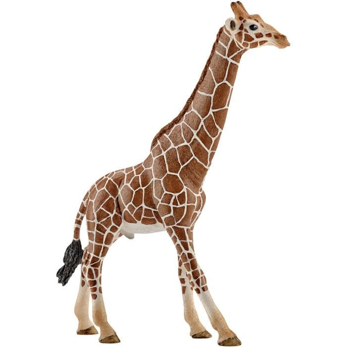 Schleich Ville dyr, Sjiraff, hann, 17x12,7x4,4 cm, 1 stk.