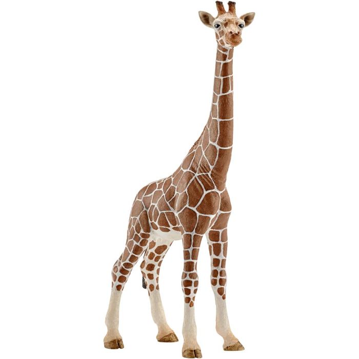 Schleich Ville dyr, Sjiraff, hunn, str. 17,2x9x4,2 cm, 1 stk.