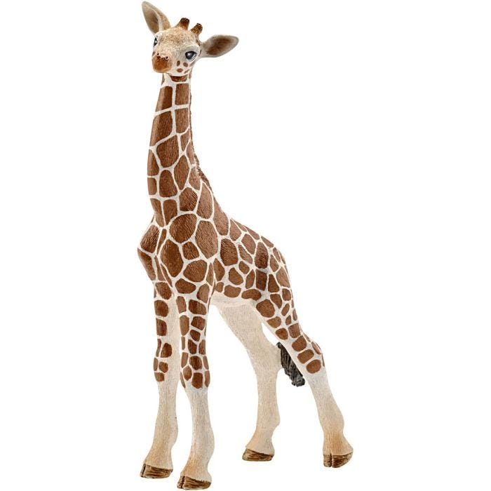 Schleich Ville dyr, Sjiraffkalv, 11,8x6,8x3,5 cm, 1 stk.
