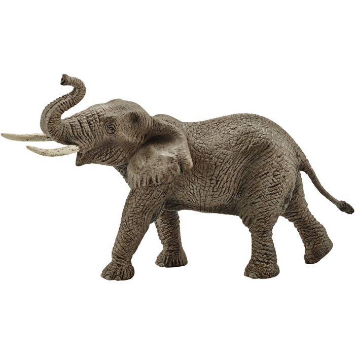 Schleich Ville dyr, Elefant, hann, 12,3x19,5x9 cm, 1 stk.