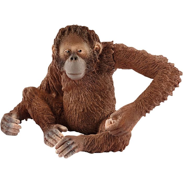 Schleich Ville dyr, Orangutang-hunn, str. 5,5x8x6 cm, 1 stk.
