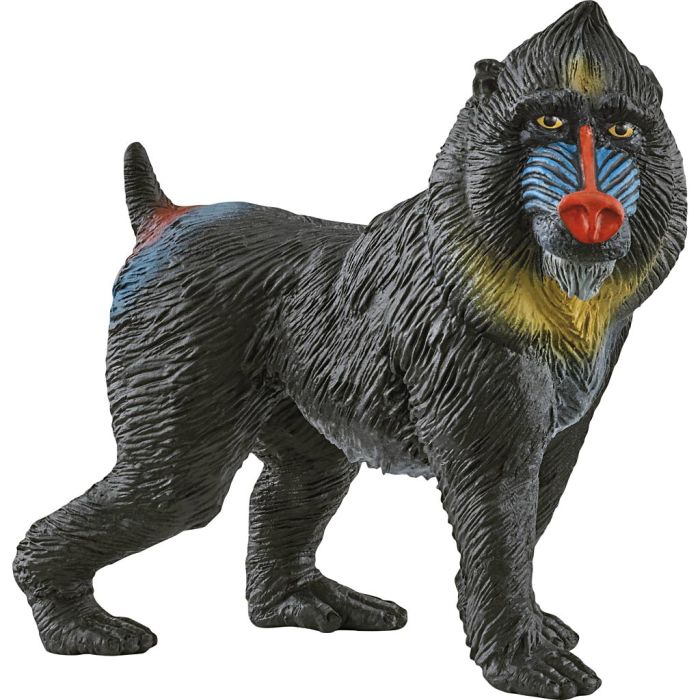 Schleich Nordisk dyreliv, Mandrill, str. 3,4x9+5x2,8 cm, 1 stk.