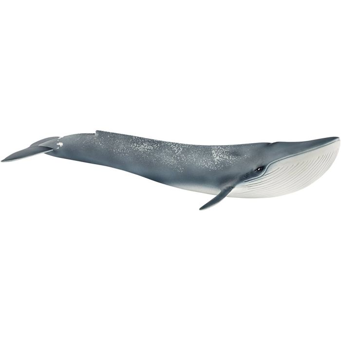 Schleich havdyr, Blåhval, str. 28x6,7x11 cm, 1 stk.