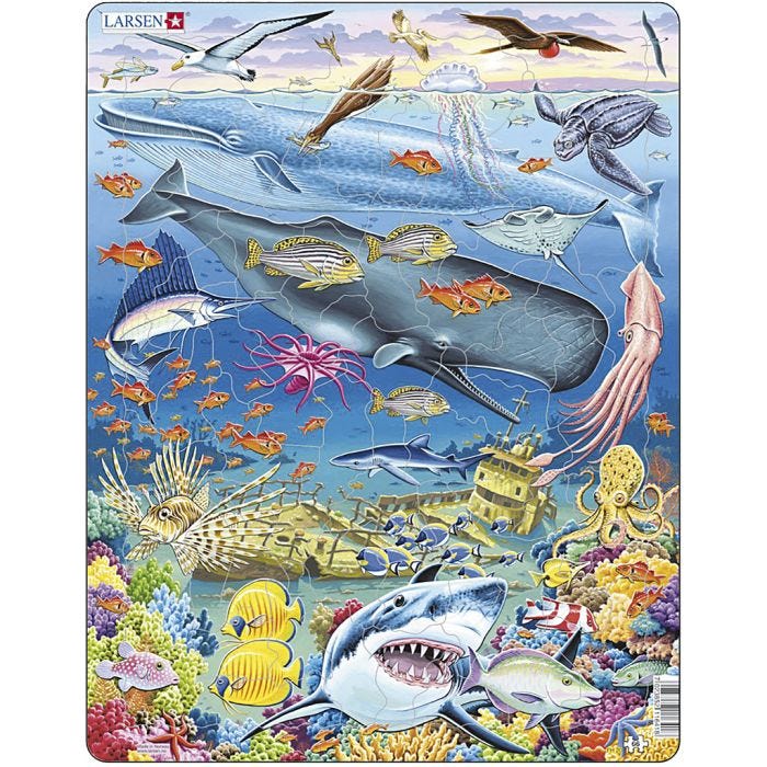 Puslespill, Stillehavet, str. 28,5x36,5 cm, 66 brikker, 1 stk.