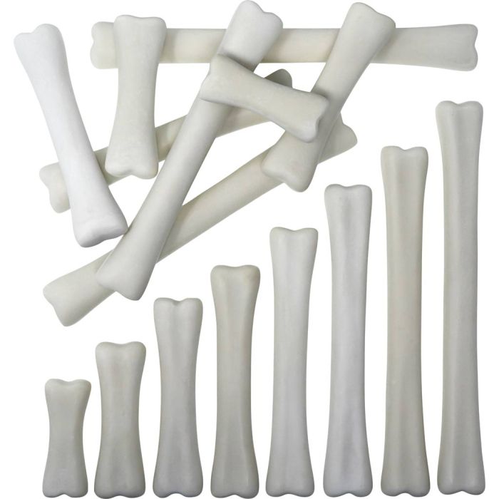 Dinosaurbein, Bein, str. 6-20 cm, 16 deler/ 1 pk.