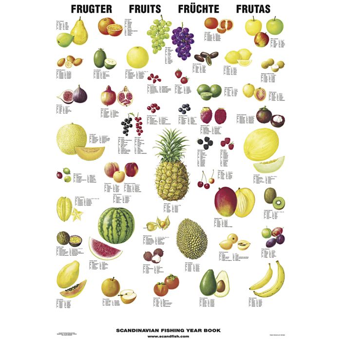Undervisningsplakat, Frukter, str. 70x100 cm, 1 stk.