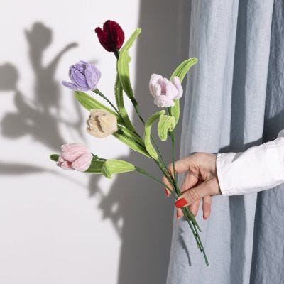 Piperenser-tulipaner