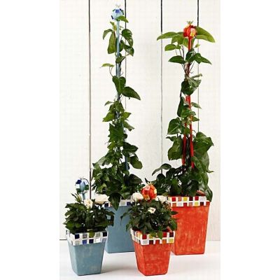 Urtepotter med Plus Color og mosaikk