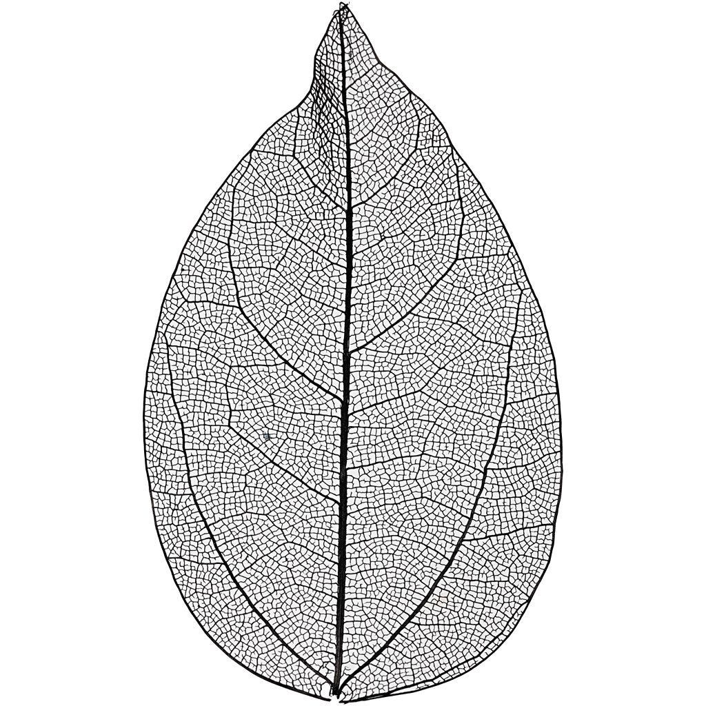 Skjelettblad