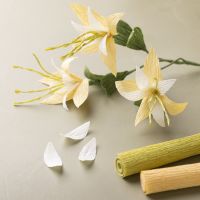Klematis laget av kreppapir