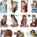 2 ark/ 1 pk., katter, ark 16,5x23,5 cm