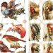 2 ark/ 1 pk., fugler, ark 16,5x23,5 cm