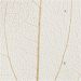 20 stk./ 1 pk., L: 4,5-8 cm, natur