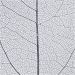 20 stk./ 1 pk., L: 6-8 cm, blå