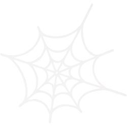 Spindelvev