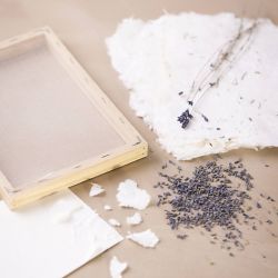 Start DIY Kit Papirfremstilling