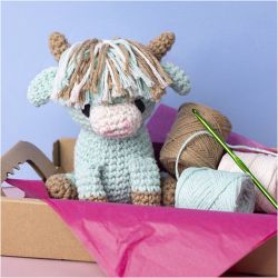 DIY Kit Amigurumi
